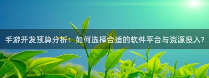 摩根娱乐登录：手游开发预算分析：如何选择合适的软件平台与资源