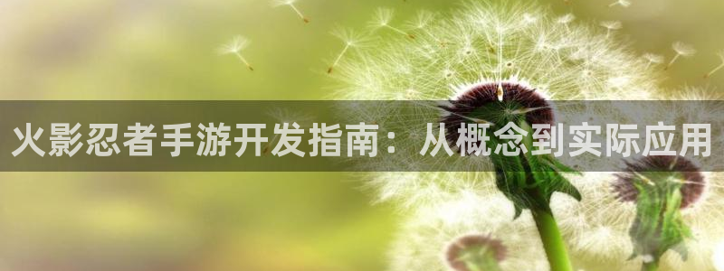 摩根娱乐这个平台怎么样啊知乎：火影忍者手游开发指南：从概念到