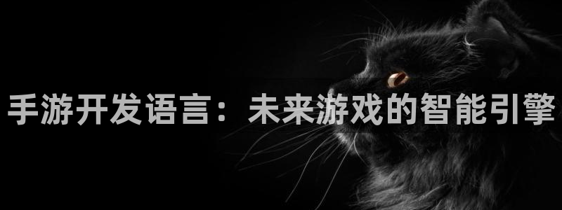 摩根娱乐官网入口：手游开发语言：未来游戏的智能引擎