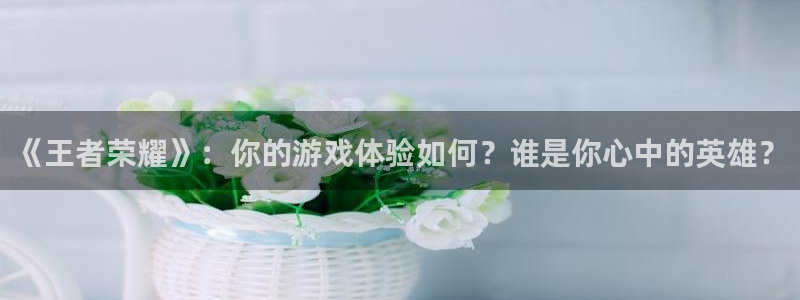 摩根娱乐官网入口网站下载：《王者荣耀》：你的游戏体验如何？谁