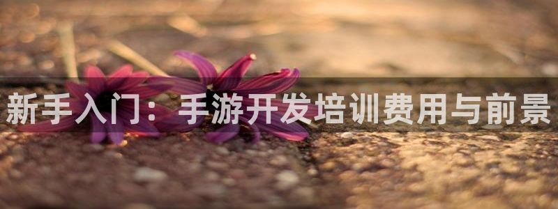 摩根娱乐是正规合法的吗是真的吗知乎：新手入门：手游开发培训费
