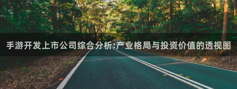 摩根娱乐官网入口网站：手游开发上市公司综合分析:产业格局与投