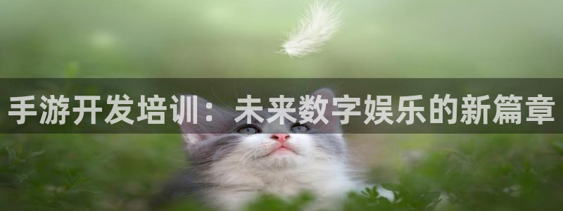 摩根娱乐app下载官网苹果版：手游开发培训：未来数字娱乐的新