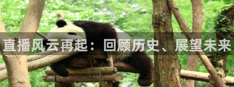 斗球直播(ios版)网站