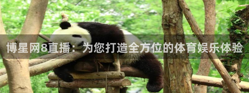 斗球在线直播nba：博星网8直播：为您打造全方位的体育娱乐体验