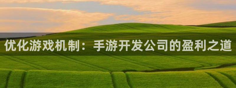 摩根娱乐娱乐官网入口网址：优化游戏机制：手游开发公司的盈利之
