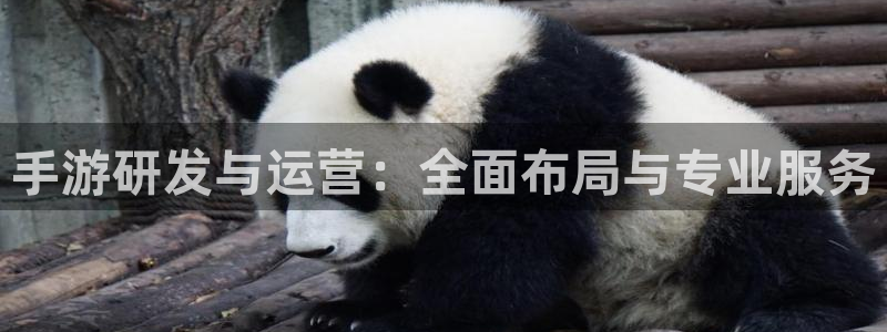 摩根娱乐app下载官网安装苹果：手游研发与运营：全面布局与专