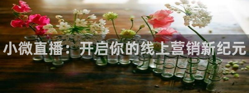 nba直播斗球体育：小微直播：开启你的线上营销新纪元