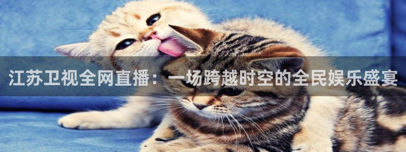 斗球直播入口免费：江苏卫视全网直播：一场跨越时空的全民娱乐盛宴